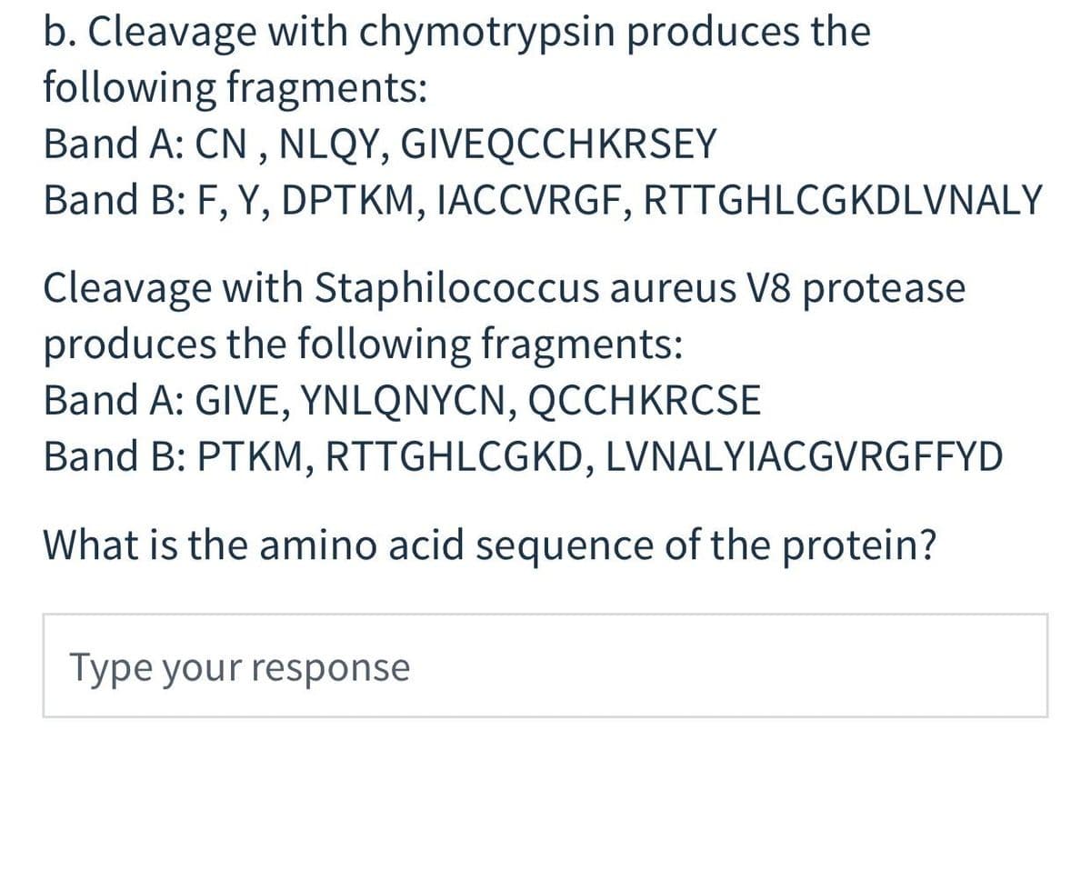 b. Cleavage with chymotrypsin produces the
following fragments:
Band A: CN , NLQY, GIVEQCCHKRSEY
Band B: F, Y, DPTKM, IACCVRGF, RTTGHLCGKDLVNALY
Cleavage with Staphilococcus aureus V8 protease
produces the following fragments:
Band A: GIVE, YNLQNYCN, QCCHKRCSE
Band B: PTKM, RTTGHLCGKD, LVNALYIACGVRGFFYD
What is the amino acid sequence of the protein?
Type your response
