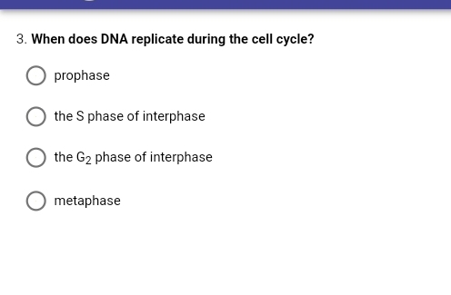 3. When does DNA replicate during the cell cycle?
prophase
the S phase of interphase
the G2 phase of interphase
metaphase
