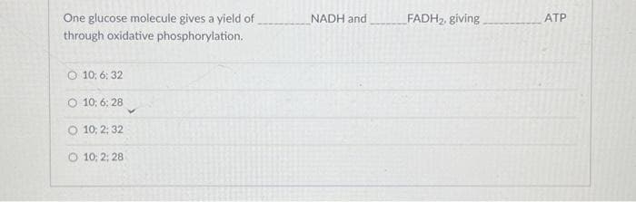 One glucose molecule gives a yield of
through oxidative phosphorylation.
O 10: 6:32
O 10: 6:28
O 10; 2; 32
O 10; 2: 28
NADH and
FADH₂, giving
ATP