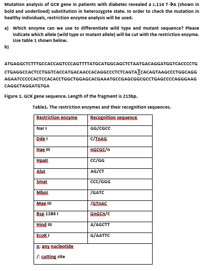 Mutation analysis of GCK gene in patients with diabetes revealed a c.114 T->A (shown in
bold and underlined) substitution in heterozygote state. In order to check the mutation in
healthy individuals, restriction enzyme analysis will be used.
a) which enzyme can we use to differentiate wild type and mutant sequence? Please
indicate which allele (wild type or mutant allele) will be cut with the restriction enzyme.
Use table 1 shown below.
b)
ATGAGGCTCTTTGCCACCAGTCCCAGTTTTATGCATGGCAGCTCTAATGACAGGATGGTCACCCCTG
СTGAGGCCACTCCTGGTCACCATGACAАССАCAGGCCCTCTТСAGTATCACAGTAAGCCCTGGCAGG
AGAATCCCCCACTCCACACCTGGCTGGAGCACGAAATGCCGAGCGGCGCCTGAGCCCCAGGGAAG
CAGGCTAGGATGTGA
Figure 1. GCK gene sequence. Length of the fragment is 213bp.
Table1. The restriction enzymes and their recognition sequences.
Bestriction enzyme
Recognition sequence
Nari
GG/CGCC
Ddel
C/TOAG
Hae II
DGCGC/n
Hpal
cc/GG
Alul
AG/CT
Smal
ccc/GGG
Mbol
/GATC
Mae II
IGTDAC
Bsp 1286 I
GNGCn/c
Hind II
A/AGCTT
ECOR I
G/AATTC
D: any Ducleotide
1: cutting site
