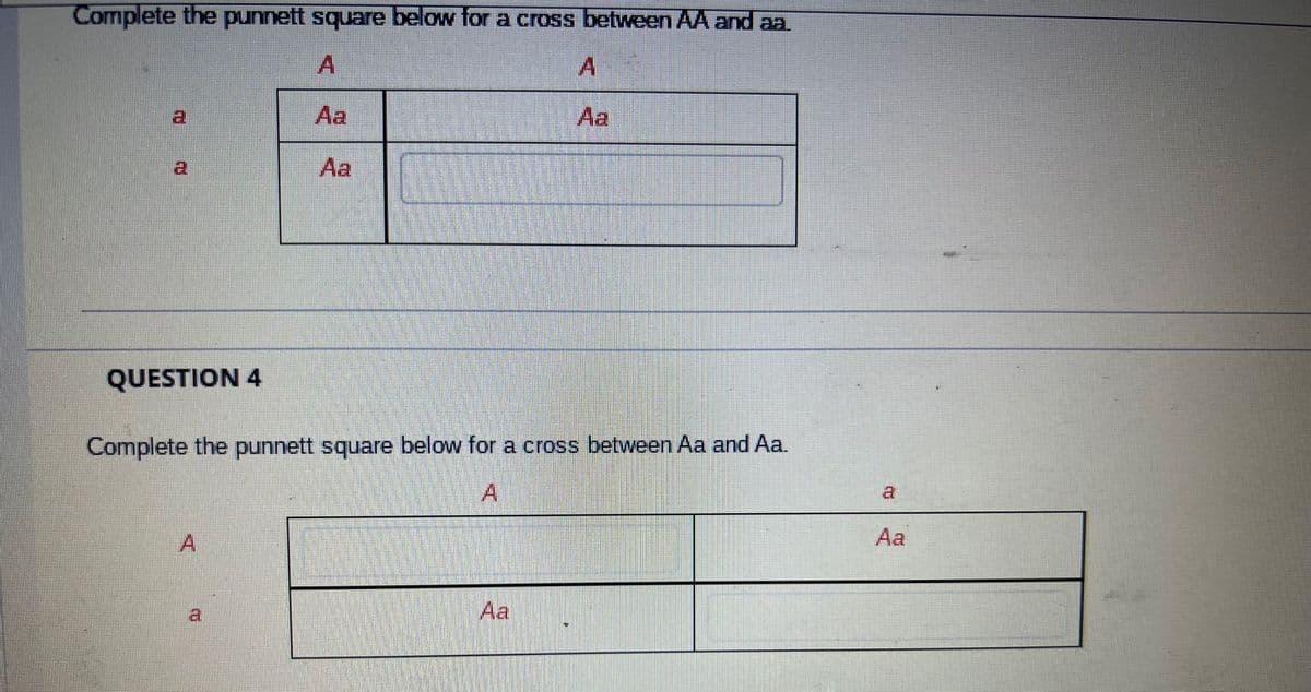 Complete the punnett square below for a cross between AA and aa
A
21
a
QUESTION 4
A
Aa
Complete the punnett square below for a cross between Aa and Aa.
03
Aa
Aa