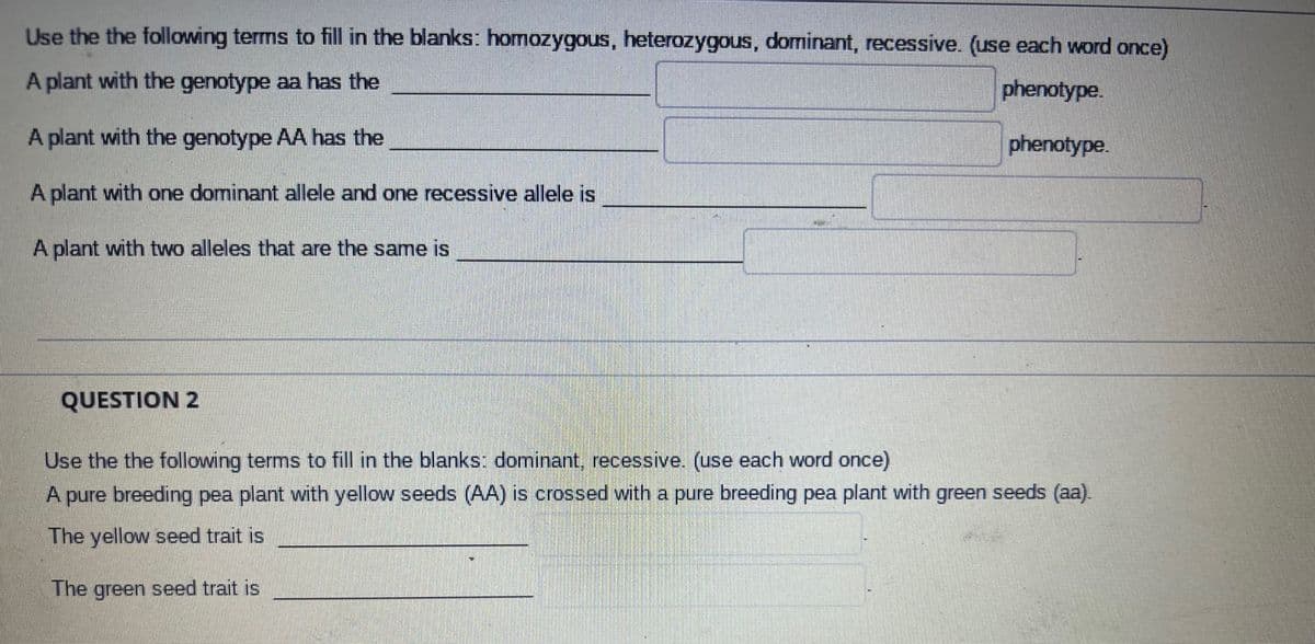Use the the following terms to fill in the blanks: homozygous, heterozygous, dominant, recessive. (use each word once)
A plant with the genotype aa has the
phenotype.
A plant with the genotype AA has the
A plant with one dominant allele and one recessive allele is
A plant with two alleles that are the same is
QUESTION 2
phenotype.
Use the the following terms to fill in the blanks: dominant, recessive. (use each word once)
A pure breeding pea plant with yellow seeds (AA) is crossed with a pure breeding pea plant with green seeds (aa).
The yellow seed trait is
The green seed trait is