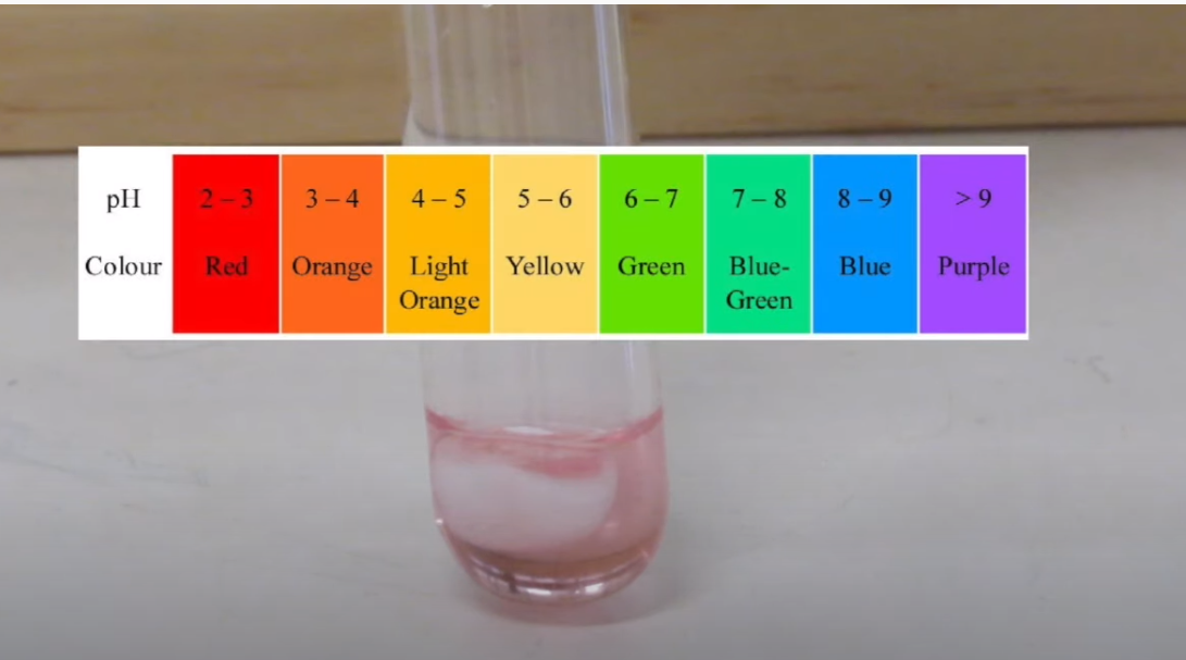 pH
3-4
4 – 5
5 – 6
6-7
7- 8
8 -9
>9
Orange Light
Orange
Colour
Red
Yellow
Green
Blue-
Blue
Purple
Green
