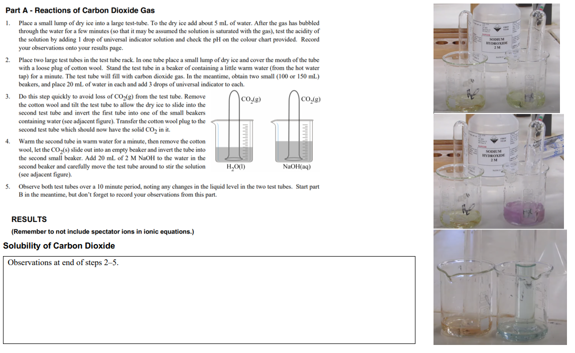 Part A - Reactions of Carbon Dioxide Gas
1.
Place a small lump of dry ice into a large test-tube. To the dry ice add about 5 mL of water. After the gas has bubbled
through the water for a few minutes (so that it may be assumed the solution is saturated with the gas), test the acidity of
the solution by adding 1 drop of universal indicator solution and check the pH on the colour chart provided. Record
your observations onto your results page.
SODIUM
HYDROXIDE
2 M
2.
Place two large test tubes in the test tube rack. In one tube place a small lump of dry ice and cover the mouth of the tube
with a loose plug of cotton wool. Stand the test tube in a beaker of containing a little warm water (from the hot water
tap) for a minute. The test tube will fill with carbon dioxide gas. In the meantime, obtain two small (100 or 150 mL)
beakers, and place 20 mL of water in each and add 3 drops of universal indicator to each.
3.
Do this step quickly to avoid loss of CO,(g) from the test tube. Remove
the cotton wool and tilt the test tube to allow the dry ice to slide into the
second test tube and invert the first tube into one of the small beakers
|CO,(g)
|CO,(g)
containing water (see adjacent figure). Transfer the cotton wool plug to the
second test tube which should now have the solid CO, in it.
4.
Warm the second tube in warm water for a minute, then remove the cotton
wool, let the CO,(s) slide out into an empty beaker and invert the tube into
SODIUM
HYDROXIDE
the second small beaker. Add 20 mL of 2 M NaOH to the water in the
2M
second beaker and carefully move the test tube around to stir the solution
H,O(1)
NaOH(aq)
(see adjacent figure).
5.
Observe both test tubes over a 10 minute period, noting any changes in the liquid level in the two test tubes. Start part
B in the meantime, but don't forget to record your observations from this part.
RESULTS
(Remember to not include spectator ions in ionic equations.)
Solubility of Carbon Dioxide
Observations at end of steps 2–5.
