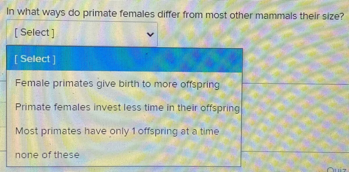 In what ways do primate females differ from most other mammals their size?
[Select]
(Select]
Female primates give birth to more offspring
Primate females invest less time in their offspring
Most primates have only 1 offspring at a time,
none of these
