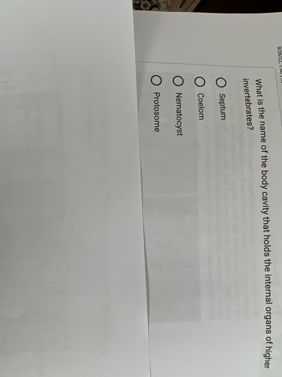 9/26/22, 1:4010
What is the name of the body cavity that holds the internal organs of higher
invertebrates?
Septum
O Coelom
Nematocyst
Protosome