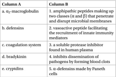 Column A
Column B
1. amphipathic peptides making up
two classes (a and B) that penetrate
and disrupt microbial membranes
a. az-macroglobulin
b. defensins
2. vasoactive peptide facilitating
the recruitment of innate immunity
mediators
c. coagulation system
3. a soluble protease inhibitor
found in human plasma
d. bradykinin
4. inhibits dissemination of
pathogens by forming blood clots
е. crуptdins
5. a-defensins made by Paneth
cells
