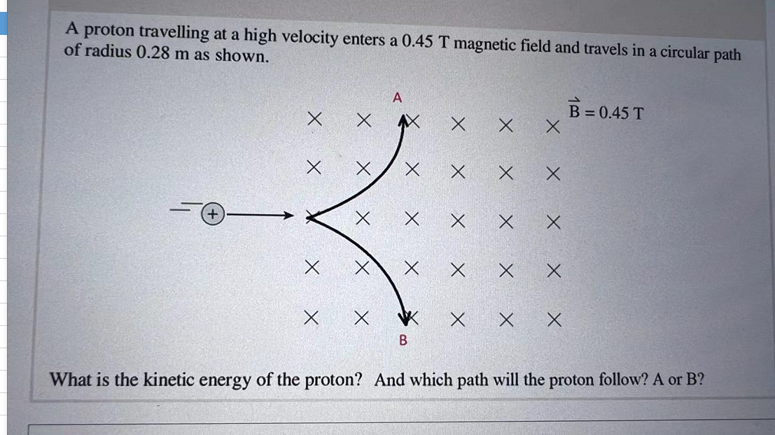 A proton travelling at a high velocity enters a 0.45 T magnetic field and travels in a circular path
of radius 0.28 m as shown.
A
B=0.45 T
X
X
X
X
X
X
X
X
X
X
X
B
What is the kinetic energy of the proton? And which path will the proton follow? A or B?
x
X
X
X
X
