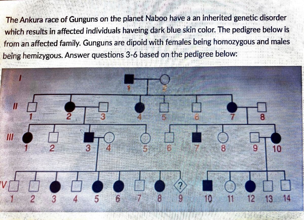 The Ankura race of Gunguns on the planet Naboo have a an inherited genetic disorder
which results in affected individuals haveing dark blue skin color. The pedigree below is
from an affected family. Gunguns are dipoid with females being homozygous and males
being hemizygous. Answer questions 3-6 based on the pedigree below:
1.
2.
8.
II
3.
4.
18
10
2 3
4 5
8
10 11 12 13.
14
9.
