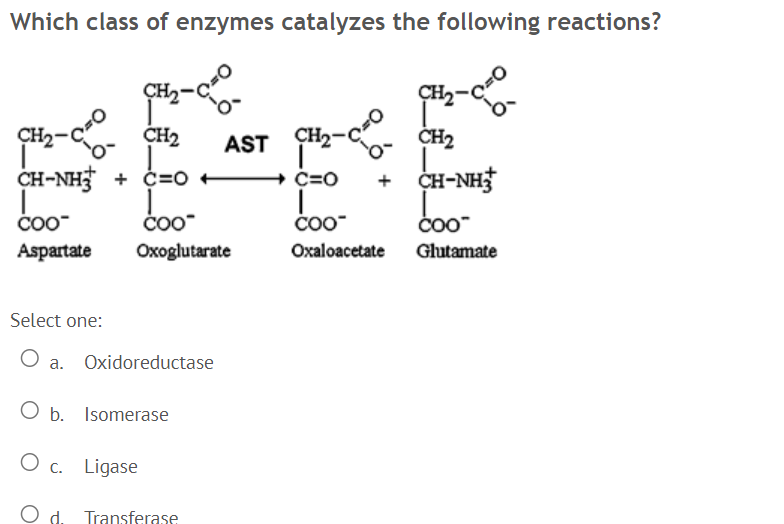 Which class of enzymes catalyzes the following reactions?
CH2-
CH2-
CH2
H2-
C- CH2
AST
CH2-C
CH2
CH-NH + C=O
+ C=0
+ CH-NH
ČO0
Čo0
ČO0
ČO0"
Aspartate
Oxoglutarate
Oxaloacetate
Glutamate
Select one:
a. Oxidoreductase
O b. Isomerase
O c. Ligase
d.
Transferase
