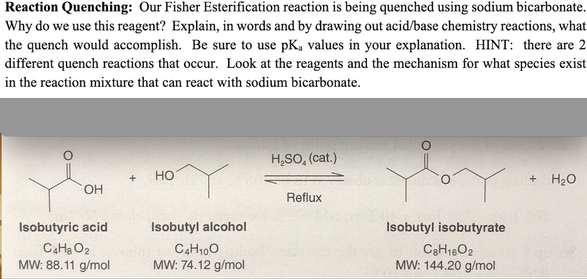 Reaction Quenching: Our Fisher Esterification reaction is being quenched using sodium bicarbonate.
Why do we use this reagent? Explain, in words and by drawing out acid/base chemistry reactions, what
the quench would accomplish. Be sure to use pKa values in your explanation. HINT: there are 2
different quench reactions that occur. Look at the reagents and the mechanism for what species exist
in the reaction mixture that can react with sodium bicarbonate.
OH
Isobutyric acid
C4H8 02
MW: 88.11 g/mol
+ HO
Isobutyl alcohol
C4H10O
MW: 74.12 g/mol
H₂SO, (cat.)
Reflux
Isobutyl isobutyrate
C8H1602
MW: 144.20 g/mol
+ H₂O