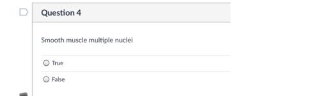 Question 4
Smooth muscle multiple nuclei
True
False