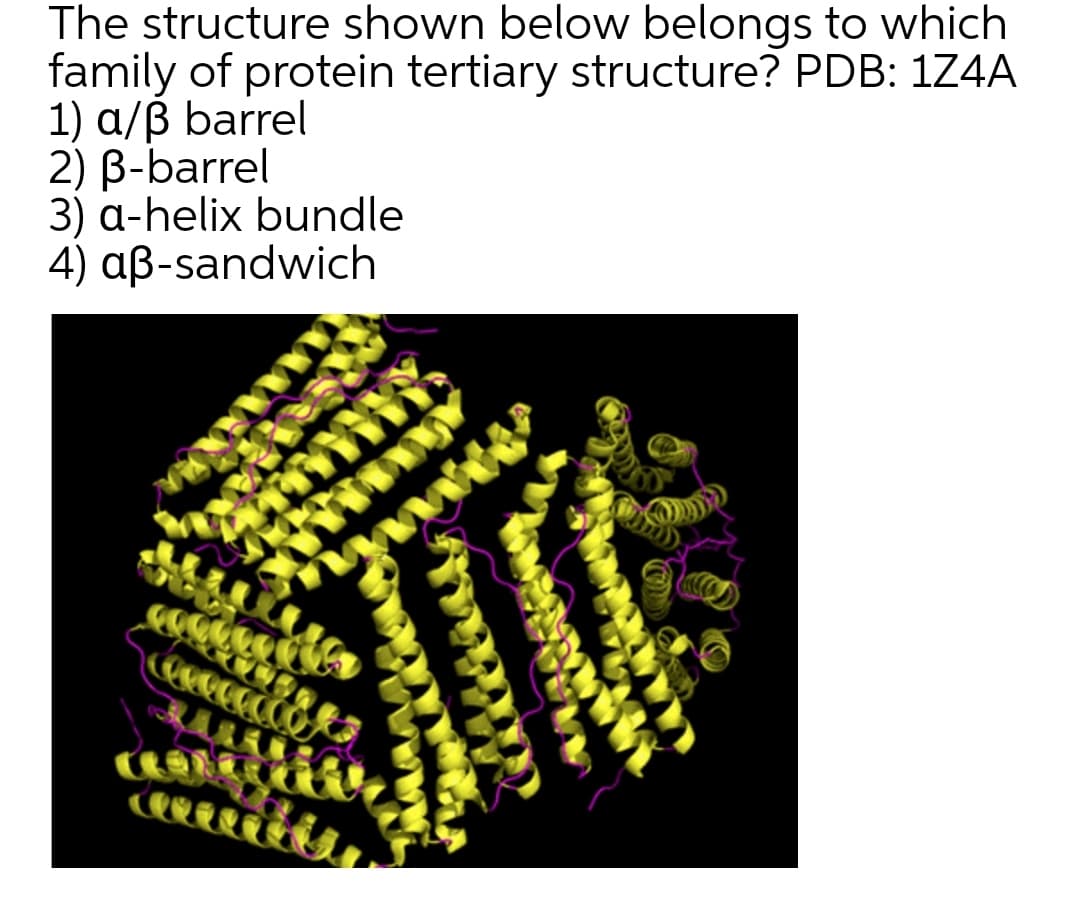 The structure shown below belongs to which
family of protein tertiary structure? PDB: 1Z4A
1) a/ß barrel
2) B-barrel
3) a-helix bundle
4) aß-sandwich
