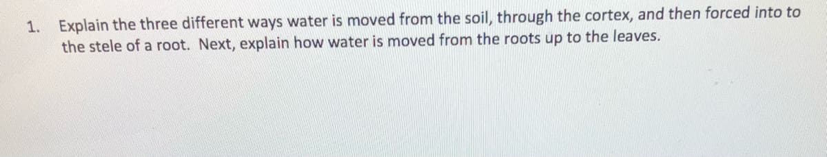1. Explain the three different ways water is moved from the soil, through the cortex, and then forced into to
the stele of a root. Next, explain how water is moved from the roots up to the leaves.
