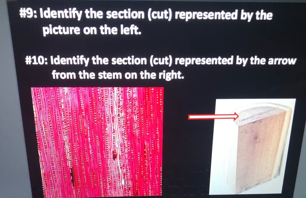 #9: Identify the section (cut) represented by the
picture on the left.
#10: Identify the section (cut) represented by the arrow
from the stem on the right.
