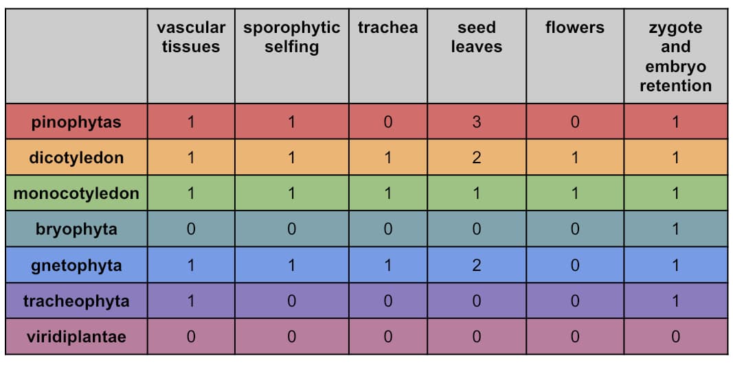 vascular sporophytic trachea
tissues
seed
leaves
flowers
zygote
and
selfing
embryo
retention
pinophytas
1
1
1
dicotyledon
1
1
1
2
1
1
monocotyledon
1
1
1
1
1
1
bryophyta
0.
0.
1
gnetophyta
1
1
1
tracheophyta
1
1
viridiplantae
