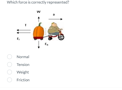 Which force is correctly represented?
!!.
F₁
Normal
Tension
Weight
Friction
W
FN
a