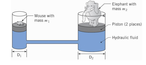 Elephant with
mass m2
- Mouse with
mass m1
Piston (2 places)
Hydraulic fluid
D1
D2
