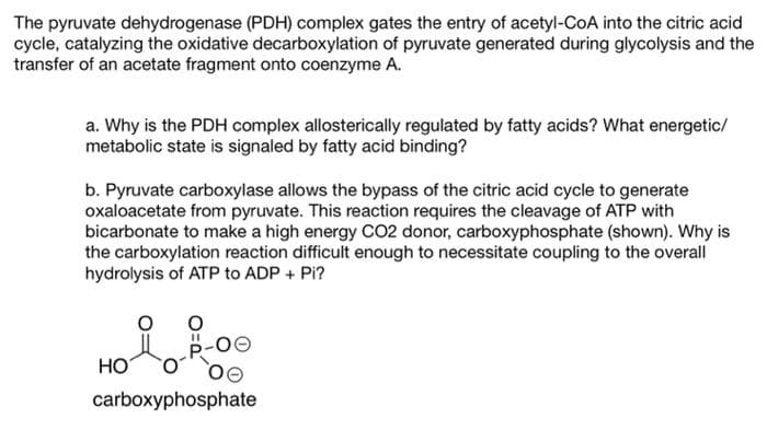 The pyruvate dehydrogenase (PDH) complex gates the entry of acetyl-CoA into the citric acid
cycle, catalyzing the oxidative decarboxylation of pyruvate generated during glycolysis and the
transfer of an acetate fragment onto coenzyme A.
a. Why is the PDH complex allosterically regulated by fatty acids? What energetic/
metabolic state is signaled by fatty acid binding?
b. Pyruvate carboxylase allows the bypass of the citric acid cycle to generate
oxaloacetate from pyruvate. This reaction requires the cleavage of ATP with
bicarbonate to make a high energy CO2 donor, carboxyphosphate (shown). Why is
the carboxylation reaction difficult enough to necessitate coupling to the overall
hydrolysis of ATP to ADP + Pi?
HOL Å-00
НО
OO
carboxyphosphate