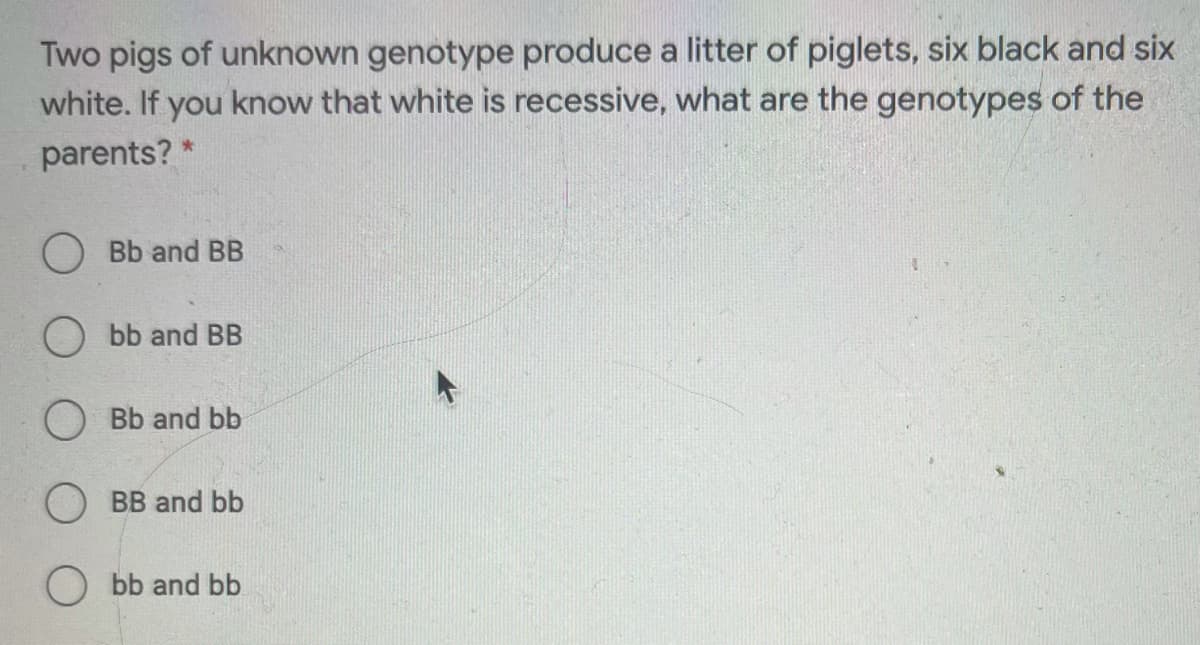 Two pigs of unknown genotype produce a litter of piglets, six black and six
white. If you know that white is recessive, what are the genotypes of the
parents? *
O Bb and BB
bb and BB
Bb and bb
O BB and bb
O bb and bb
