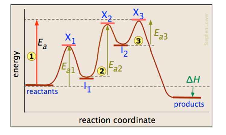 X2
X3
Ea3
3
Ea
1)
Ea1
Ea2
2
ΔΗ
reactants
products
reaction coordinate
energy
Stephen Lower
