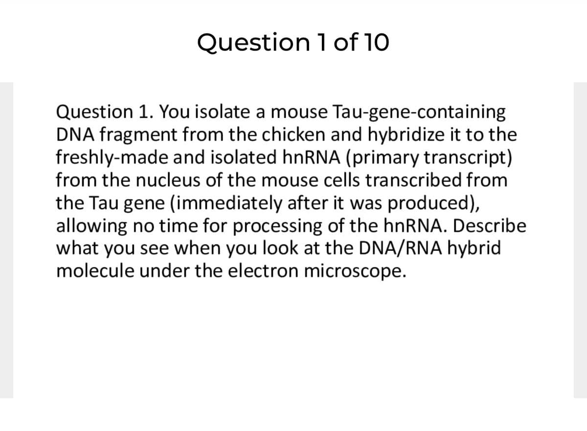 Question 1 of 10
Question 1. You isolate a mouse Tau-gene-containing
DNA fragment from the chicken and hybridize it to the
freshly-made and isolated hnRNA (primary transcript)
from the nucleus of the mouse cells transcribed from
the Tau gene (immediately after it was produced),
allowing no time for processing of the hnRNA. Describe
what you see when you look at the DNA/RNA hybrid
molecule under the electron microscope.
