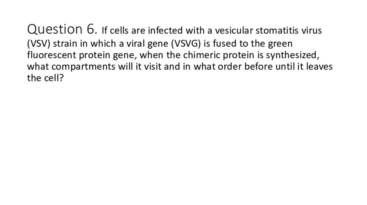 Question 6. If cells are infected with a vesicular stomatitis virus
(VSV) strain in which a viral gene (VSVG) is fused to the green
fluorescent protein gene, when the chimeric protein is synthesized,
what compartments will it visit and in what order before until it leaves
the cell?
