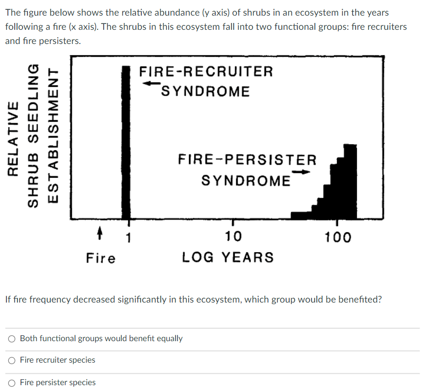 The figure below shows the relative abundance (y axis) of shrubs in an ecosystem in the years
following a fire (x axis). The shrubs in this ecosystem fall into two functional groups: fıre recruiters
and fıre persisters.
FIRE-RECRUITER
SYNDROME
FIRE-PERSISTER
SYNDROME
10
100
Fire
LOG YEARS
If fire frequency decreased significantly in this ecosystem, which group would be benefited?
O Both functional groups would benefit equally
O Fire recruiter species
O Fire persister species
RELATIVE
SHRUB SEEDLING
ESTABLISHMENT
