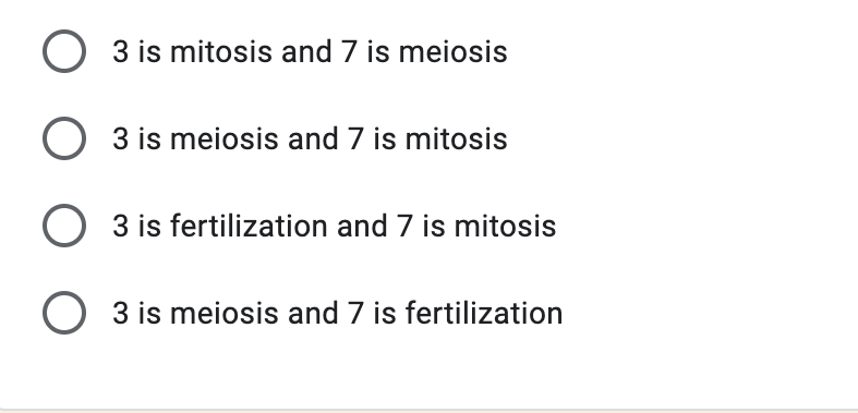 3 is mitosis and 7 is meiosis
3 is meiosis and 7 is mitosis
O 3 is fertilization and 7 is mitosis
3 is meiosis and 7 is fertilization
