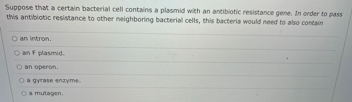 Suppose that a certain bacterial cell contains a plasmid with an antibiotic resistance gene. In order to pass
this antibiotic resistance to other neighboring bacterial cells, this bacteria would need to also contain
an intron.
O an F plasmid.
an operon.
a gyrase enzyme.
a mutagen.
