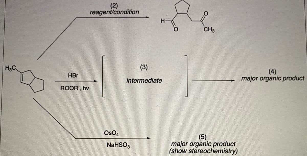 (2)
reagenicondition
H-
CH3
H3C
(3)
(4)
major organic product
HBr
intermediate
ROOR', hv
OsO,
(5)
major organic product
(show stereochemistry)
NaHSO,
