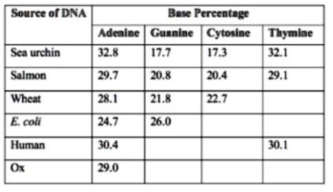 Source of DNA
Base Percentage
Adenine Gusnine Cytosine Thymine
Sea urchin
32.8
17.7
17.3
32.1
Salmon
29.7
20.8
20.4
29.1
Wheat
28.1
21.8
22.7
E. coli
24.7
26.0
Human
30.4
30.1
Ox
29.0

