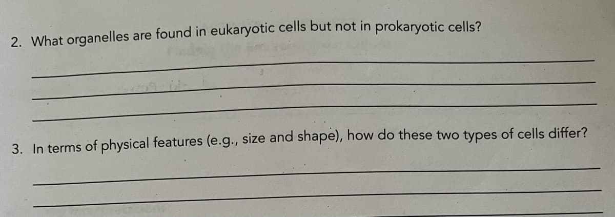 2. What organelles are found in eukaryotic cells but not in prokaryotic cells?
3. In terms of physical features (e.g., size and shape), how do these two types of cells differ?