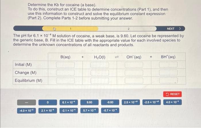 Determine the Kb for cocaine (a base).
To do this, construct an ICE table to determine concentrations (Part 1), and then
use this information to construct and solve the equilibrium constant expression
(Part 2). Complete Parts 1-2 before submitting your answer.
2
NEXT >
The pH for 6.1 x 10- M solution of cocaine, a weak base, is 9.60. Let cocaine be represented by
the generic base, B. Fill in the ICE table with the appropriate value for each involved species to
determine the unknown concentrations of all reactants and products.
B(aq)
H2O(1)
OH (aq)
BH (aq)
+.
Initial (M)
Change (M)
Equilibrium (M)
5 RESET
6.1 x 10*
9.60
2.5 x 1010
-2.5 x 10
4.0 x 10*
-9.60
4.0 x 10
2.1 x 10
-2.1 x 10
5.7 x 10
-5.7 x 10
