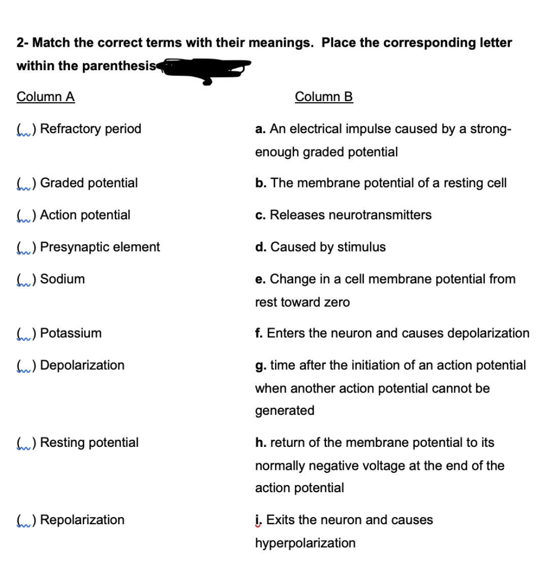 2- Match the correct terms with their meanings. Place the corresponding letter
within the parenthesis
Column A
() Refractory period
() Graded potential
() Action potential
) Presynaptic element
() Sodium
() Potassium
() Depolarization
() Resting potential
() Repolarization
Column B
a. An electrical impulse caused by a strong-
enough graded potential
b. The membrane potential of a resting cell
c. Releases neurotransmitters
d. Caused by stimulus
e. Change in a cell membrane potential from
rest toward zero
f. Enters the neuron and causes depolarization
g. time after the initiation of an action potential
when another action potential cannot be
generated
h. return of the membrane potential to its
normally negative voltage at the end of the
action potential
i. Exits the neuron and causes
hyperpolarization