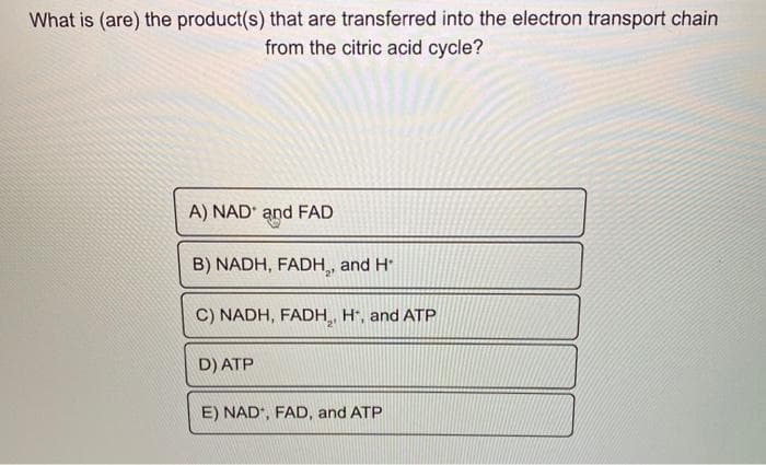 What is (are) the product(s) that are transferred into the electron transport chain
from the citric acid cycle?
A) NAD' and FAD
B) NADH, FADH,, and H
C) NADH, FADH,, H*, and ATP
D) ATP
E) NAD', FAD, and ATP
