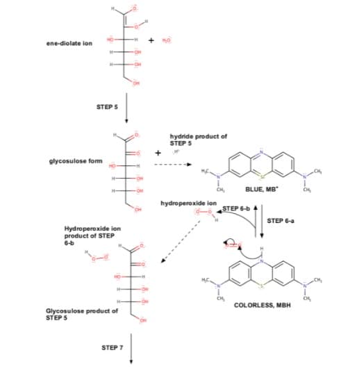 ene-diolate ion
STEP S
hydride product of
STEP 5
glycosulose fom
BLUE, MB*
CH
hydroperoxide ion
STEP 6-b 4
STEP 6-a
Hydroperoxide ion
product of STEP
6-b
COLORLESS, MBH
Glycosulose product of
STEP 5
STEP 7
