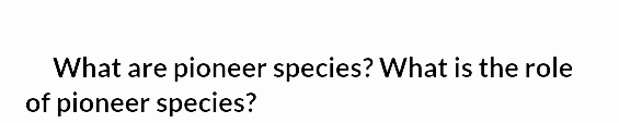 What are pioneer species? What is the role
of pioneer species?
