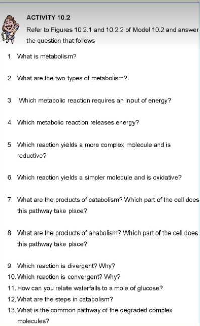 ACTIVITY 10.2
Refer to Figures 10.2.1 and 10.2.2 of Model 10.2 and answer
the question that follows
1. What is metabolism?
2. What are the two types of metabolism?
3. Which metabolic reaction requires an input of energy?
4. Which metabolic reaction releases energy?
5. Which reaction yields a more complex molecule and is
reductive?
6. Which reaction yields a simpler molecule and is oxidative?
7. What are the products of catabolism? Which part of the cell does
this pathway take place?
8. What are the products of anabolism? Which part of the cell does
this pathway take place?
9. Which reaction is divergent? Why?
10. Which reaction is convergent? Why?
11. How can you relate waterfalls to a mole of glucose?
12. What are the steps in catabolism?
13. What is the common pathway of the degraded complex
molecules?
