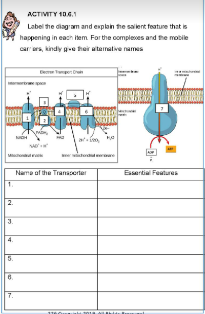 АCTMTY 10.6.1
Label the diagram and explain the salient feature that is
happening in each item. For the complexes and the mobile
carriers, kindly give their alternative names
Electron Transport Chain
Jae
Intermembrane space
FADH
NADH
FAD
2+ í20,
NAD +H
ATP
AOP
Minochondrial matri
Inner mitochondrial membrane
Name of the Transporter
Essential Features
1.
2.
3.
4.
5.
6.
7.
2.
