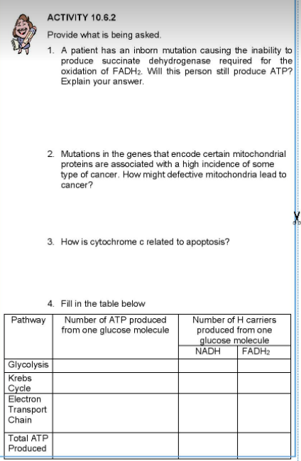 ACTIVITY 10.6.2
Provide what is being asked.
1. A patient has an inborn mutation causing the inability to
produce succinate dehydrogenase required for the
oxidation of FADH2. Will this person still produce ATP?
Explain your answer.
2 Mutations in the genes that encode certain mitochondrial
proteins are associated with a high incidence of some
type of cancer. How might defective mitochondria lead to
cancer?
3. How is cytochrome c related to apoptosis?
4. Fill in the table below
Pathway
Number of ATP produced
from one glucose molecule
Number of H carriers
produced from one
glucose molecule
NADH
FADH2
Glycolysis
Krebs
Cycle
Electron
Transport
Chain
Total ATP
Produced
