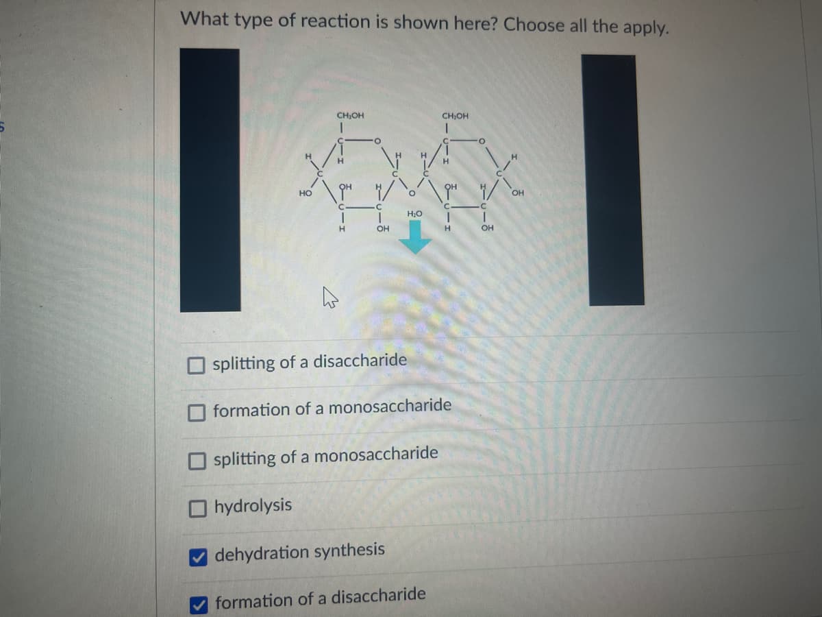 What type of reaction is shown here? Choose all the apply.
CH;OH
CH,OH
H.
H
QH
но
OH
OH
C.
H;O
H.
OH
OH
splitting of a disaccharide
O formation of a monosaccharide
O splitting of a monosaccharide
O hydrolysis
dehydration synthesis
formation of a disaccharide
