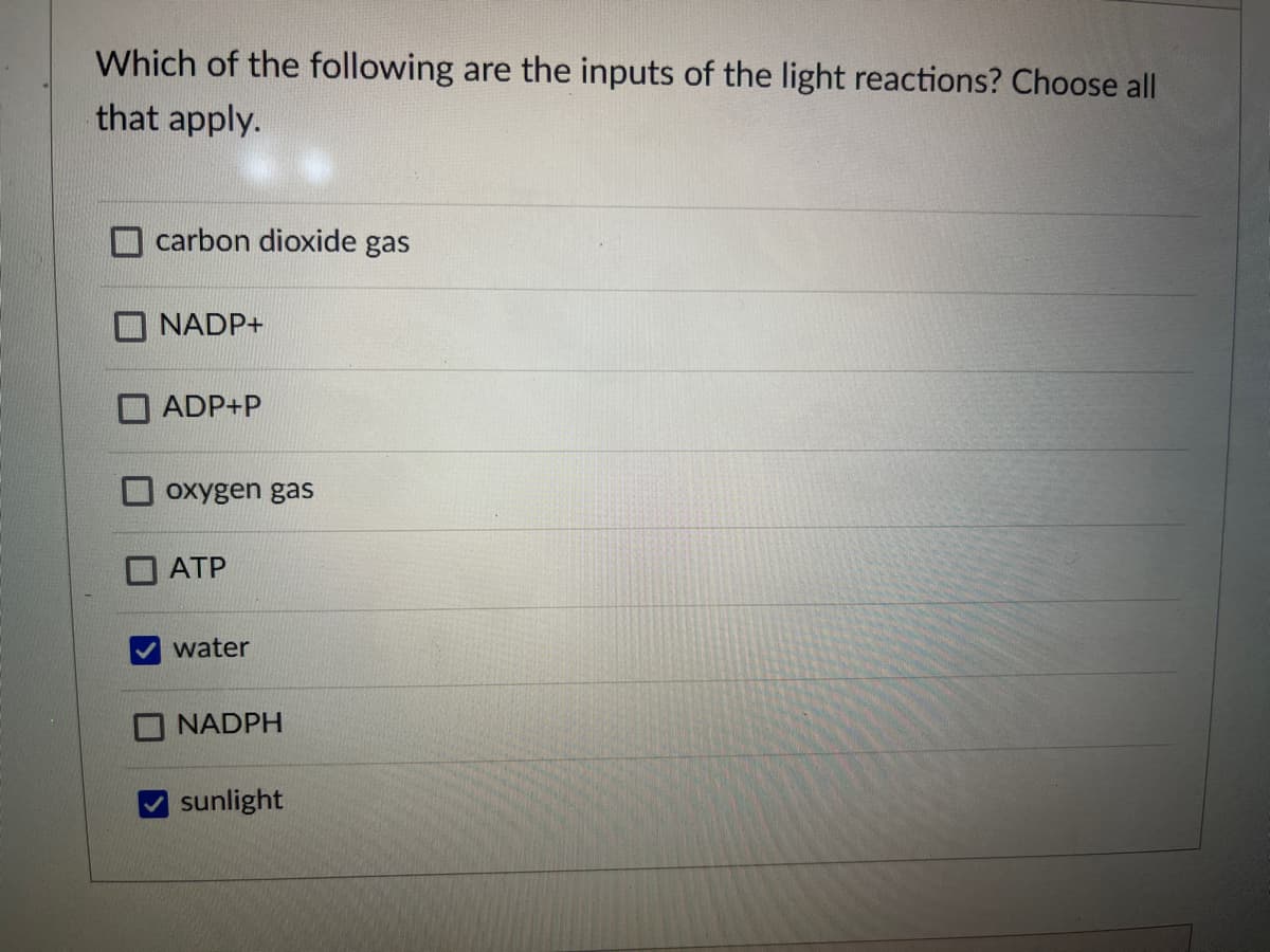 Which of the following are the inputs of the light reactions? Choose all
that apply.
carbon dioxide gas
O NADP+
ADP+P
oxygen gas
АТР
water
O NADPH
sunlight
