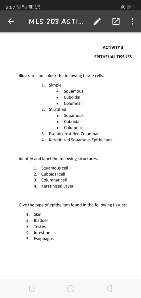 3:07 ** a 0.00
KB/S
@ 35
MLS 203 ACTI..
ACTIVITY 3
EPITHELIAL TISSUES
Illustrate and colour the following tissue cells:
1. Simple
Squamous
Cuboidal
Columnar
2. Stratified
Squamous
Cuboidal
• Columnar
3. Pseudostratified Columnar
4. Keratinized Squamous Epithelium
Identify and label the following structures:
1. Squamous cell
2. Cuboidal cell
3. Columnar cell
4. Keratinized Layer
Give the type of epithelium found in the following tissues:
1. Skin
2. Bladder
3. Testes
4. Intestine
5. Esophagus
