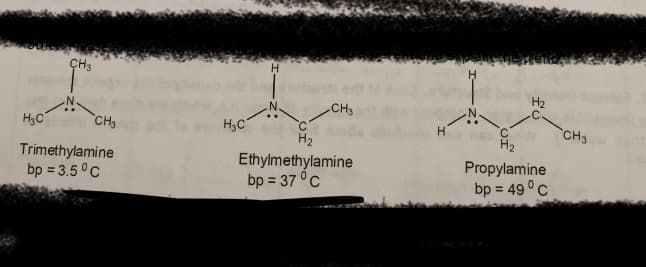 CH3
H2
CH3
H3C
CH3
H;C
C.
H2
CH3
H2
Trimethylamine
bp = 3.5 °C
Ethylmethylamine
bp = 37 °C
Propylamine
bp = 49°C
%3D
