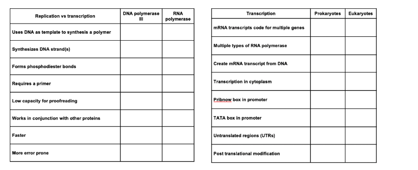 Replication vs transcription
Uses DNA as template to synthesis a polymer
Synthesizes DNA strand(s)
Forms phosphodiester bonds
Requires a primer
Low capacity for proofreading
Works in conjunction with other proteins
Faster
More error prone
DNA polymerase
III
RNA
polymerase
Transcription
mRNA transcripts code for multiple genes
Multiple types of RNA polymerase
Create mRNA transcript from DNA
Transcription in cytoplasm
Pribnow box in promoter
TATA box in promoter
Untranslated regions (UTRs)
Post translational modification
Prokaryotes Eukaryotes