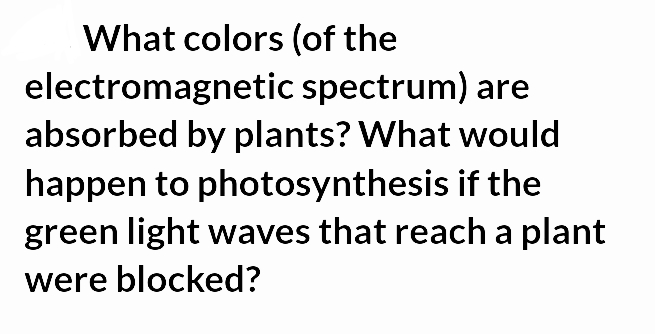 What colors (of the
electromagnetic spectrum) are
absorbed by plants? What would
happen to photosynthesis if the
green light waves that reach a plant
were blocked?
