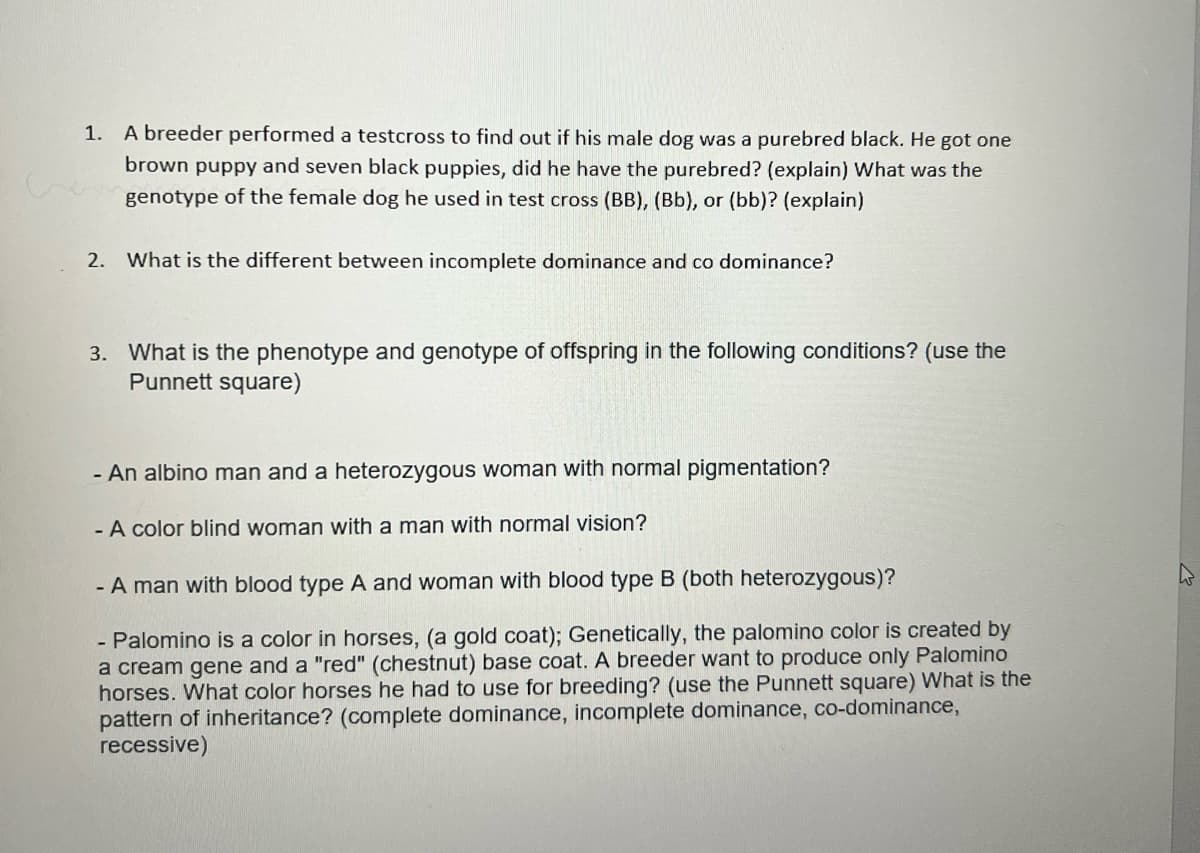 1. A breeder performed a testcross to find out if his male dog was a purebred black. He got one
brown puppy and seven black puppies, did he have the purebred? (explain) What was the
genotype of the female dog he used in test cross (BB), (Bb), or (bb)? (explain)
2. What is the different between incomplete dominance and co dominance?
3. What is the phenotype and genotype of offspring in the following conditions? (use the
Punnett square)
- An albino man and a heterozygous woman with normal pigmentation?
- A color blind woman with a man with normal vision?
- A man with blood type A and woman with blood type B (both heterozygous)?
- Palomino is a color in horses, (a gold coat); Genetically, the palomino color is created by
a cream gene and a "red" (chestnut) base coat. A breeder want to produce only Palomino
horses. What color horses he had to use for breeding? (use the Punnett square) What is the
pattern of inheritance? (complete dominance, incomplete dominance, co-dominance,
recessive)
