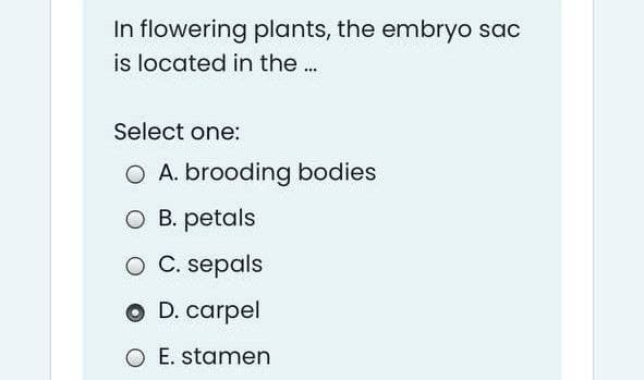 In flowering plants, the embryo sac
is located in the..
Select one:
O A. brooding bodies
O B. petals
O C. sepals
O D. carpel
O E. stamen
