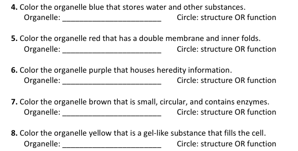 4. Color the organelle blue that stores water and other substances.
Organelle:
Circle: structure OR function
5. Color the organelle red that has a double membrane and inner folds.
Organelle:
Circle: structure OR function
6. Color the organelle purple that houses heredity information.
Organelle:
Circle: structure OR function
7. Color the organelle brown that is small, circular, and contains enzymes.
Organelle:
Circle: structure OR function
8. Color the organelle yellow that is a gel-like substance that fills the cell.
Organelle:
Circle: structure OR function
